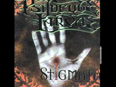 Psilocybe Larvae - Stigmata