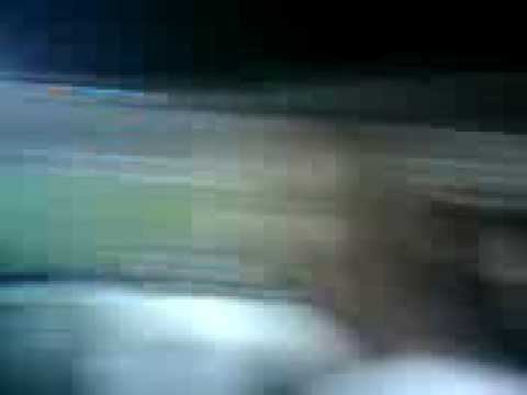 Essa torcida apaixonada!