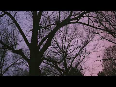 The Storm in 120fps | Lumix BS1H