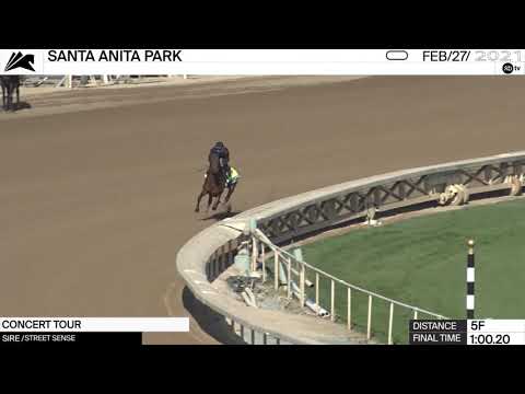 Preview of the Grade II Rebel Stakes at Oaklawn Park on March 13th, 2021.