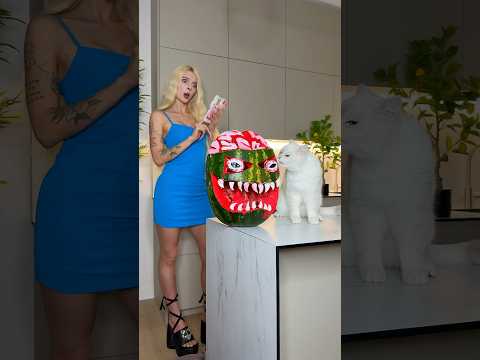 My cat scares me every day🍉😱 #cat #cats