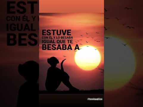 Agapornis flasheaste amor (letras/lyrics)