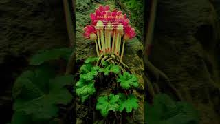Download lagu #shortvideo #subscribe #quotes #storywa #storytime mp3 Download lagu #shortvideo #subscribe #quotes #storywa #storytime mp3