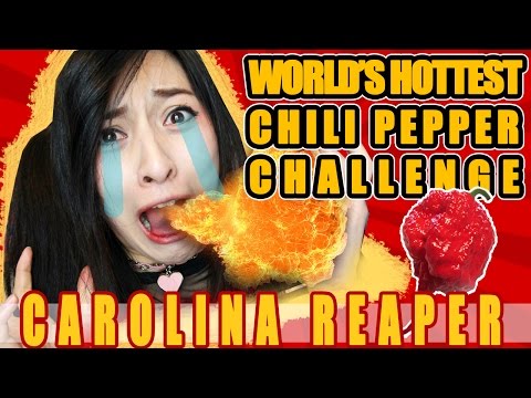 世界の激辛唐辛子チャレンジ。カロライナの死神 (World's Hottest Chili Pepper Challenge: Carolina Reaper)