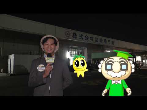 2026年10月17日(土)放送 市場から食卓へ！宮崎海洋高校「流通実習」に密着！