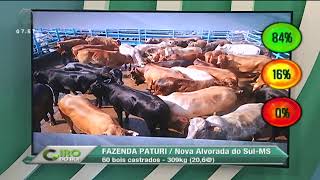 Miniatura do vídeo