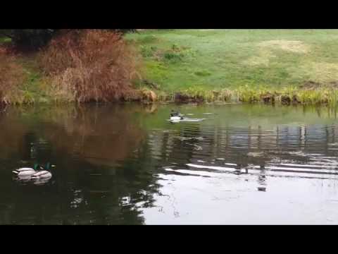 Vehkojan koulun "Yhdessä luontoon" päivä.