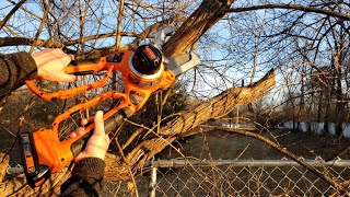 Black & Decker 20V Cordless Alligator Lopper Review |  Perfect For Tree Trimming & Woodcutting!