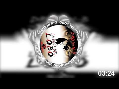 07 - DROSAN-B - UNA OPORTUNIDAD