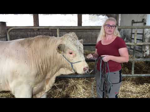 Betriebsvorstellung Hansbauernhof