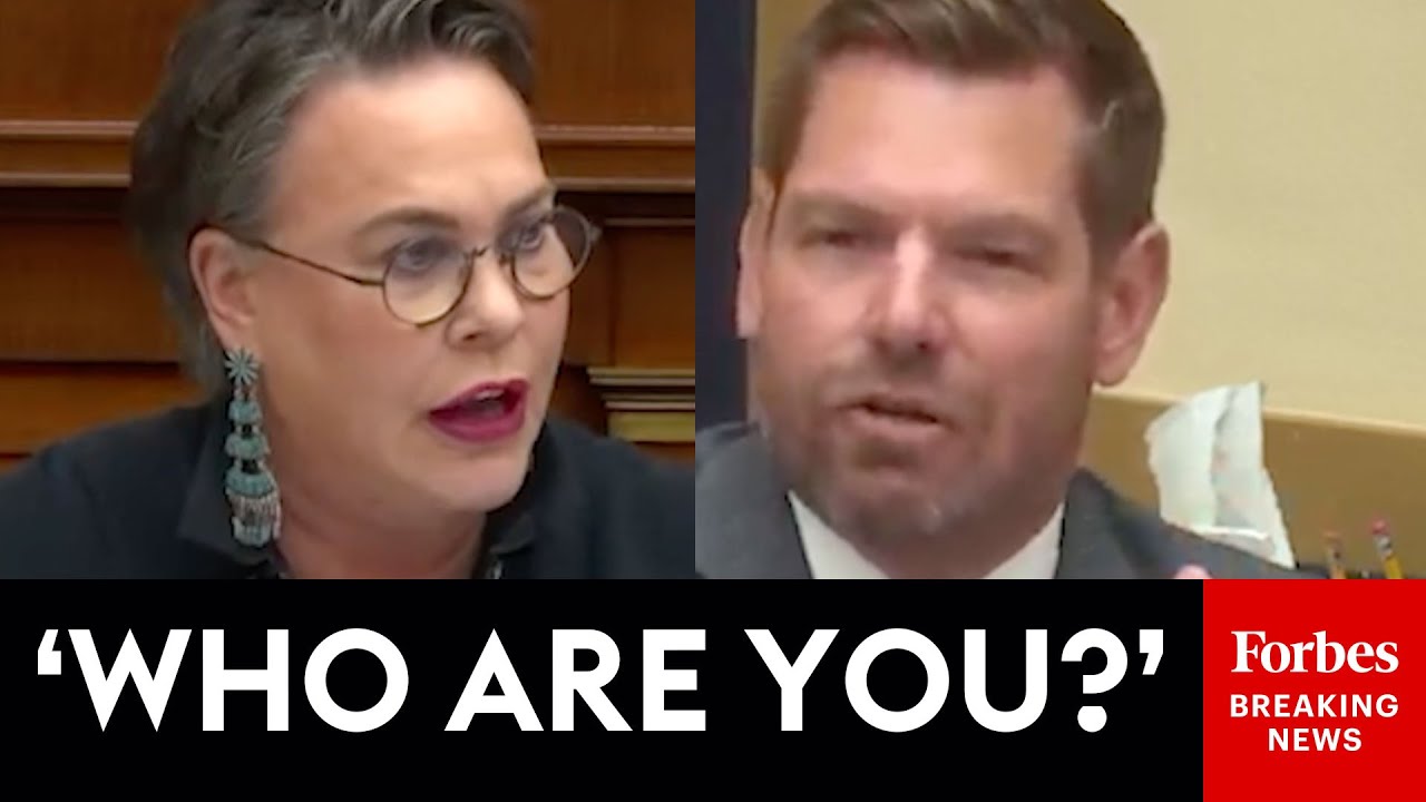 VIRAL MOMENT: Swalwell Tells Harriet Hageman 'I Don't Know Who You Are' During House Hearing