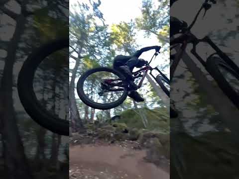 Flowing Around Jordie Lunn Bike Park With Ace Hayden 🌲 #Shorts #MTB