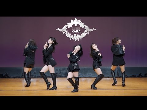 KARA (카라)  Lupin Cover Dance / Twinkle waseda 170423