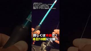 【アオリイカ】長潮～若潮の潮周りでイカは釣れるのか！？【ヤエン】