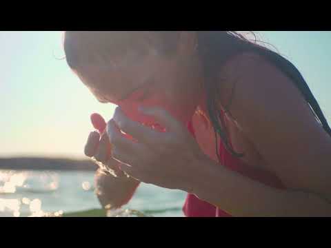 Bird in the Bush - Official Video | Pauline Scanlon