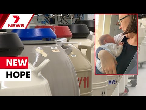 IVF advancements giving cancer patients pregnancy hope | 7NEWS