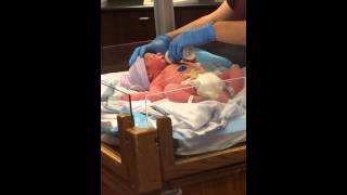 Happy birthday Dillinger #2