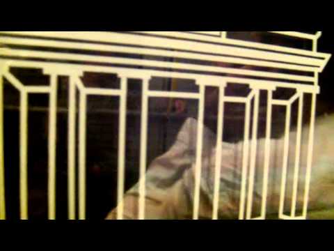 U8 Hermannstraße  - Wittenau