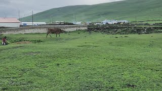 preview picture of video 'Hasköy Ardahan'