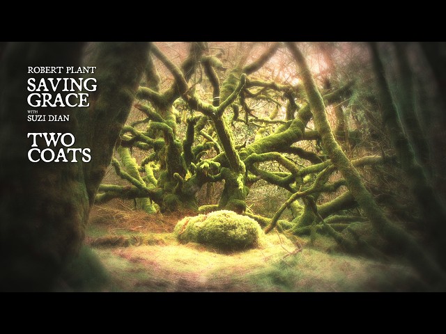  Two Coats  - Robert Plant