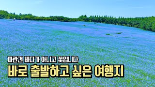 국내 여행 추천 바로 떠나고 싶은 여행지 BEST #국내여행 #여행추천
