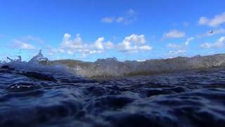 preview picture of video 'Puerto Rico reef waves in slow motion'