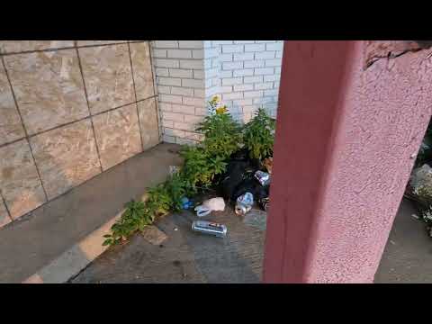 Abandoned Octopus Car Wash