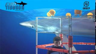 DIA 2 Expo Tiburon11