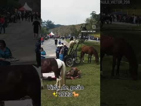 hashtag rios imagem de drone da cavalgada 💯🐎✨