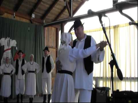 KUD"Pregrada",Pregrada : Branje grozdja