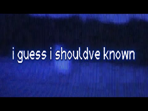 whatsaheart - i guess i should’ve known (lyric video)