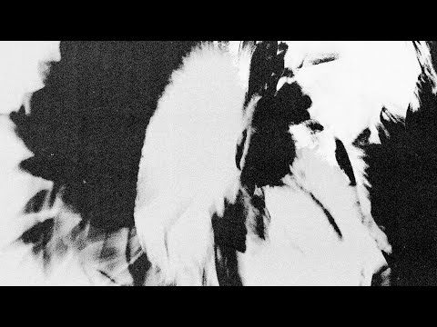 Flight School & Lord Lawrence - Home For The Summer (Official Full Stream)