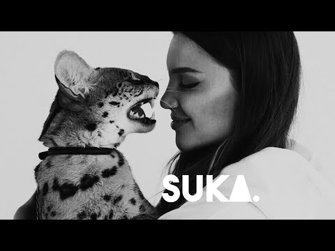 ESTETIKA - Ягода малина