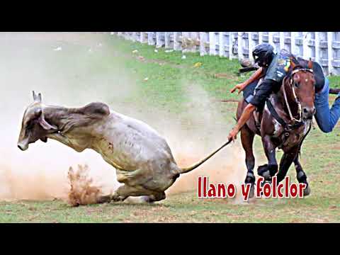 ADIÓS ADIÓS  (Pasaje)