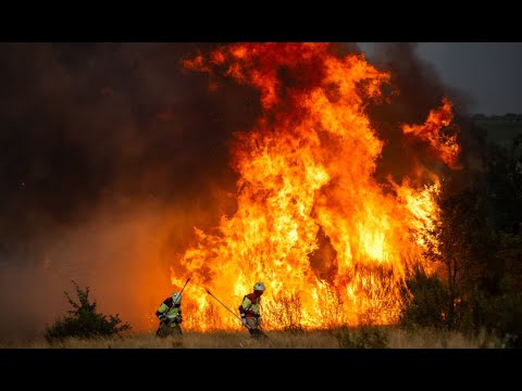 De Zamora a Los Ángeles: ¿Qué podemos aprender de la gestión de sus incendios? | Hoy en El País