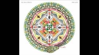 Skull Defekts - Peer Amid