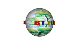 Preview of BT FLOORING SERVICE Ltd.