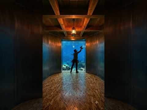 🌊🕳️ **Coastal Underwater Hideaway** | A Hidden Shelter Beneath the Waves 🔥