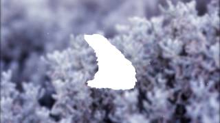 [Future Garage] Bonobo - Know You (SuperVision Remix)