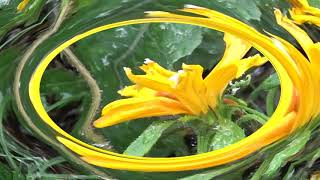 CHRIS REA, NOTHING LEFT BEHIND, Lyrics below, (great-nice-sad song!)