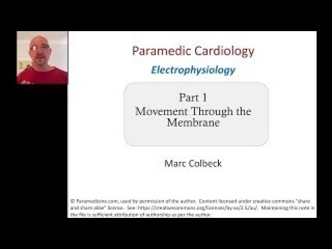Cardiovascular Electrophysiology 1 - Movement through the membrane