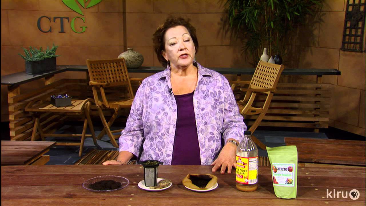 Fertilizing container plants|Trisha Shirey|Central Texas Gardener - YouTube