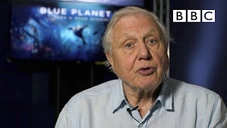 Thumbnail for Sir David Attenborough's plastic message - BBC
