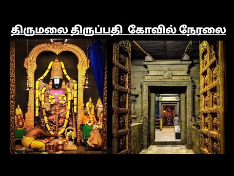 Heavy Devotees Rush  Tirumala Tirupati Temple 2022| Tirupati Balaji Temple 2022| Tirupati Today Live
