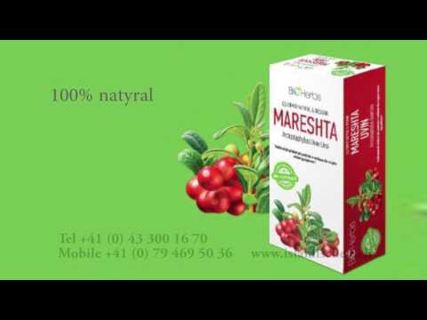 Çaji   “Mareshta Uvin”