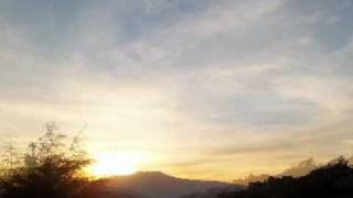 skin (skunk anansie) - ´Til morning comes