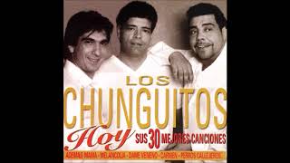 Paloma Que Pierde El Vuelo