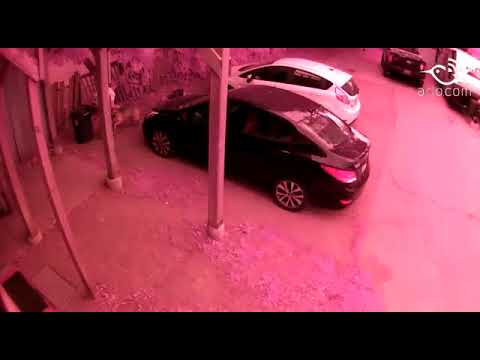 Problem neighbour's gf conviently playing w/dogs inches from car (. 59 seconds)