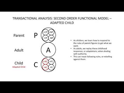 Transactional Analysis: Second Order Functional Model