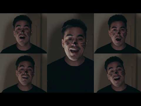 YA OU - Magyar Mesék Mashup (Acapella)